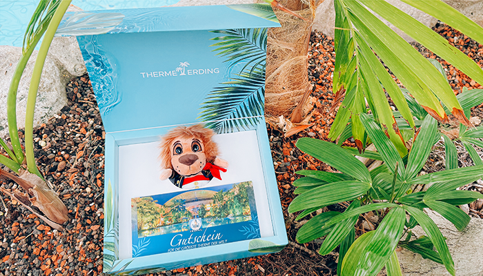 Gift box with a blue background and palm trees, filled with a spa voucher and a plush lion