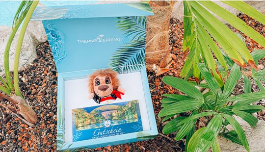 Gift box with a blue background and palm trees, filled with a spa voucher and a plush lion