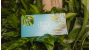 Gift Envelope